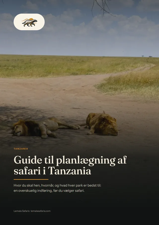 Forside på Guide til planlægning af safari i Tanzania