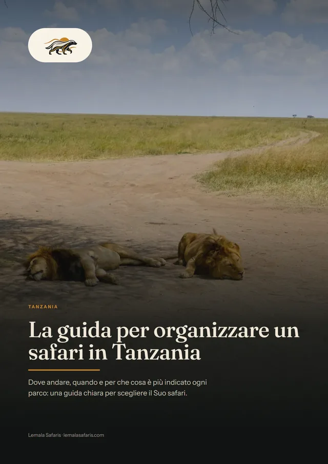 Copertina di La guida per organizzare un safari in Tanzania