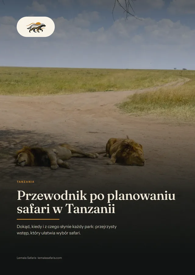 Okładka: Przewodnik po planowaniu safari w Tanzanii