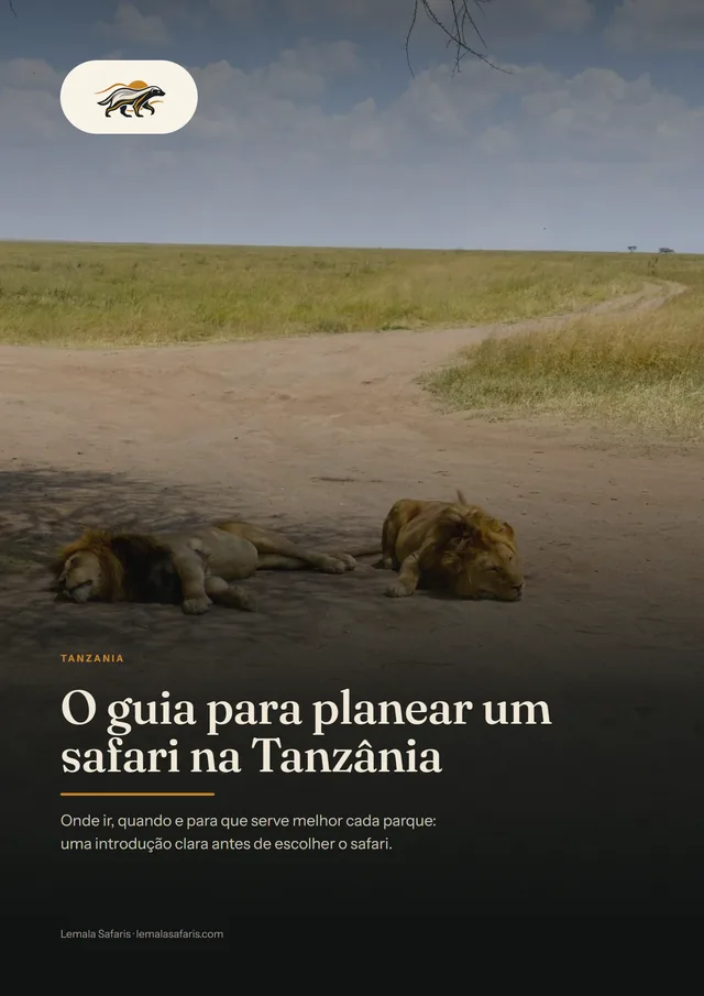 Capa de O guia para planear um safari na Tanzânia