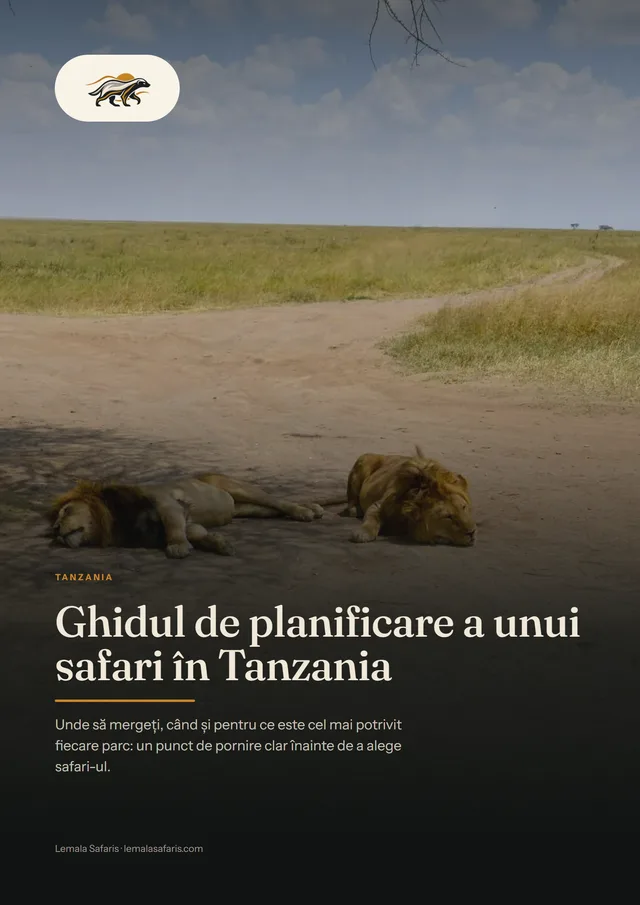 Coperta ghidului Ghidul de planificare a unui safari în Tanzania