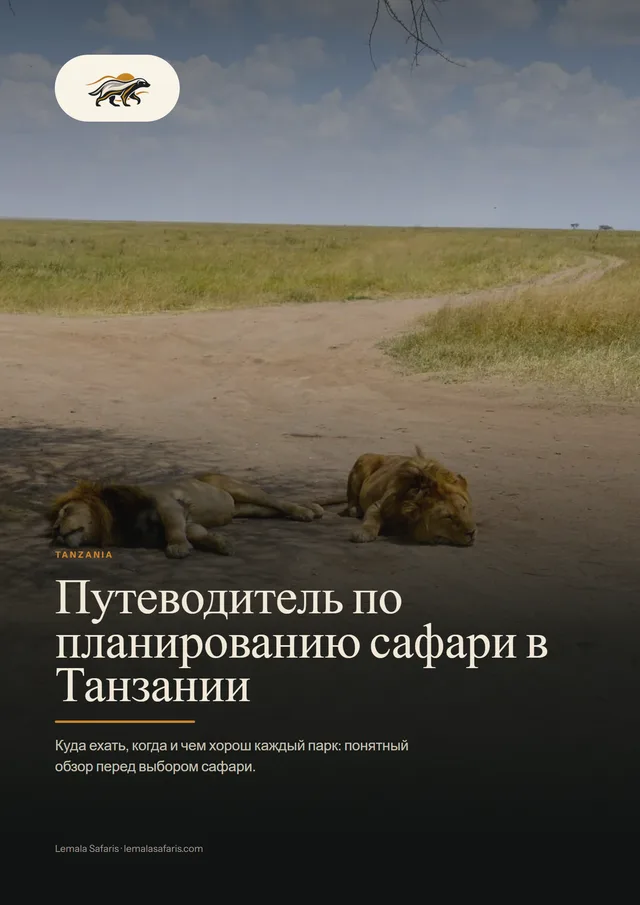 Обложка: Путеводитель по планированию сафари в Танзании