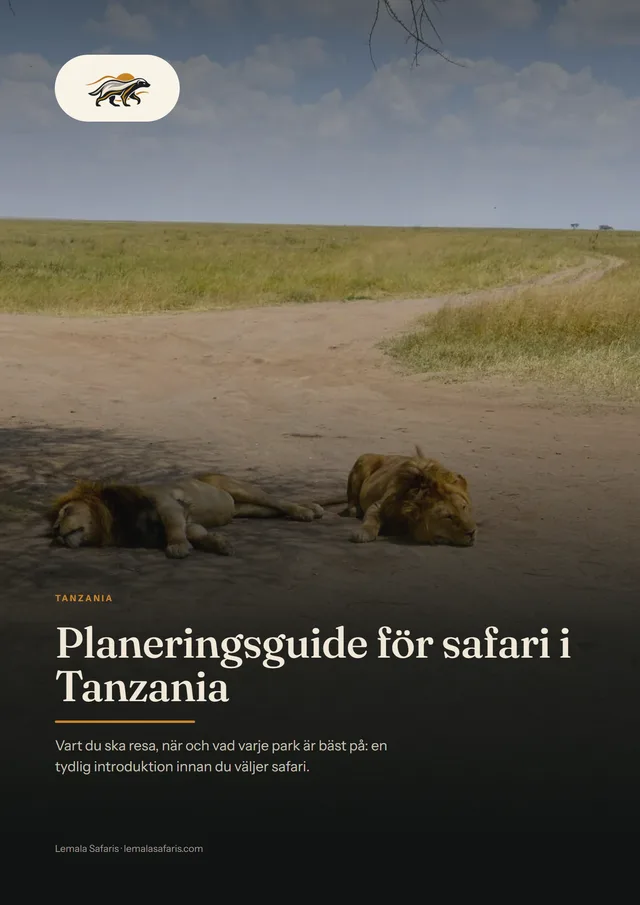Omslaget till Planeringsguide för safari i Tanzania