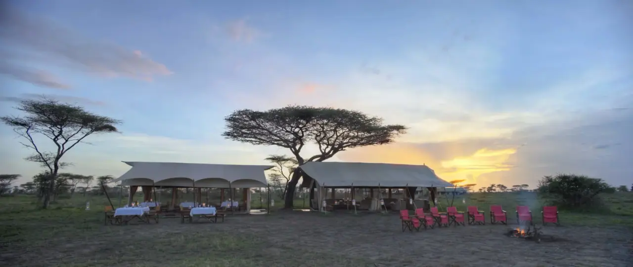 andBeyond Serengeti Under Canvas mess tent and campfire seating beneath an acacia tree at sunset on the Serengeti plains