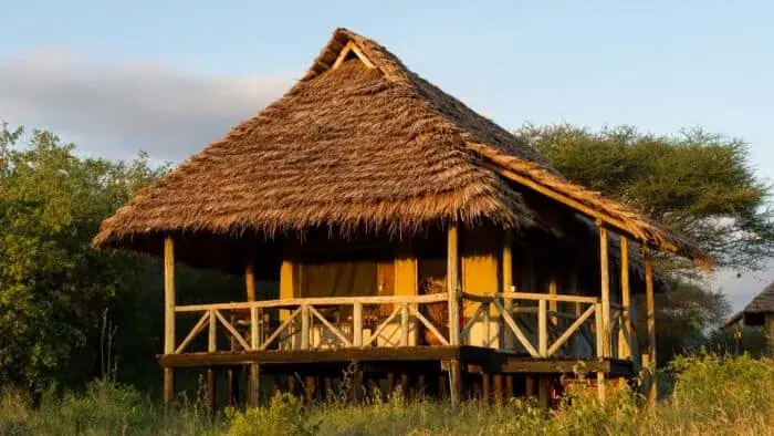 Raised thatched guest tent on stilts at Burunge Tented Lodge on the Tarangire boundary at golden hour