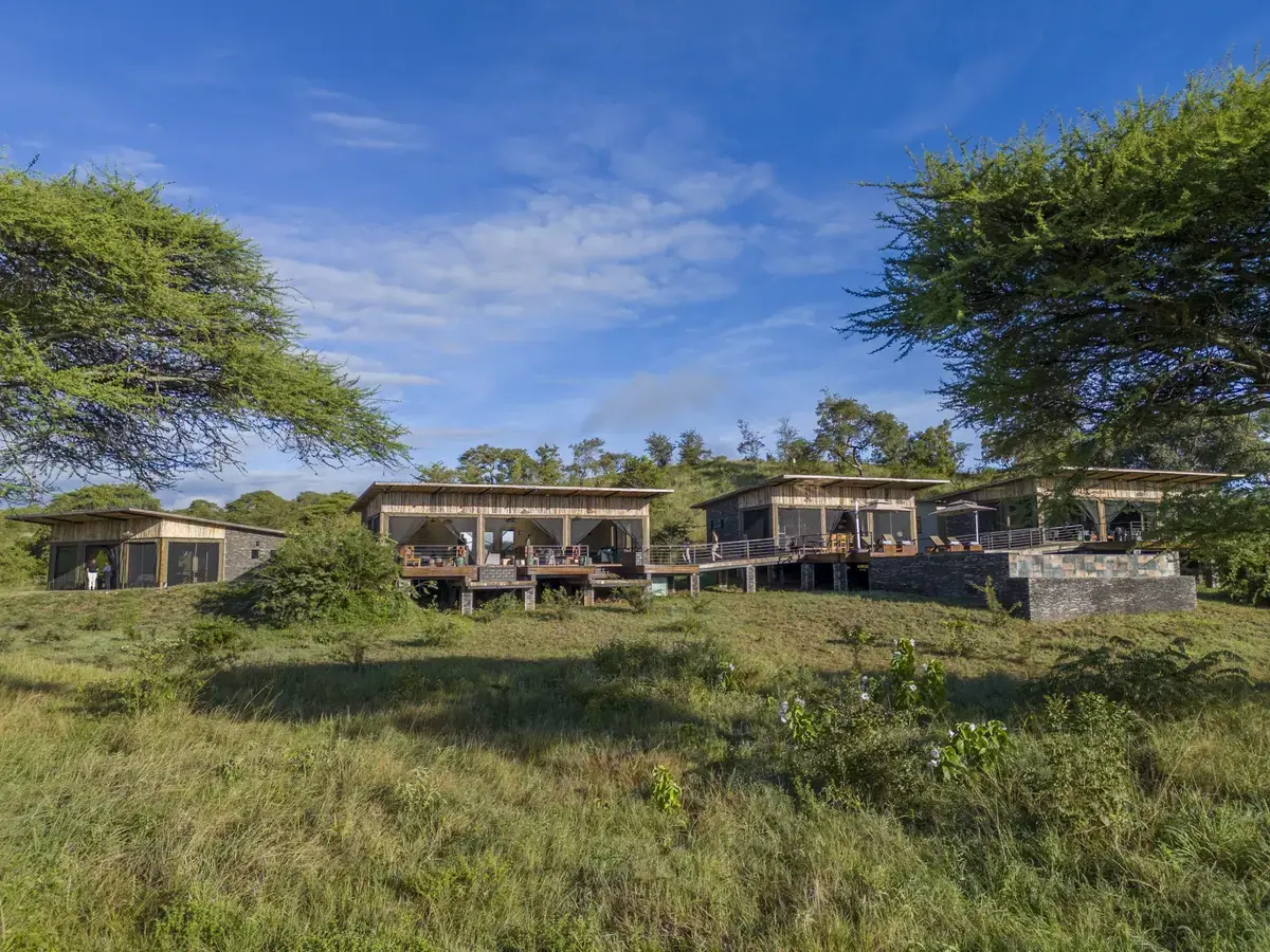 Wide view of Elephant Springs' timber-and-stone guest cottages set among acacia trees in the Tarangire region