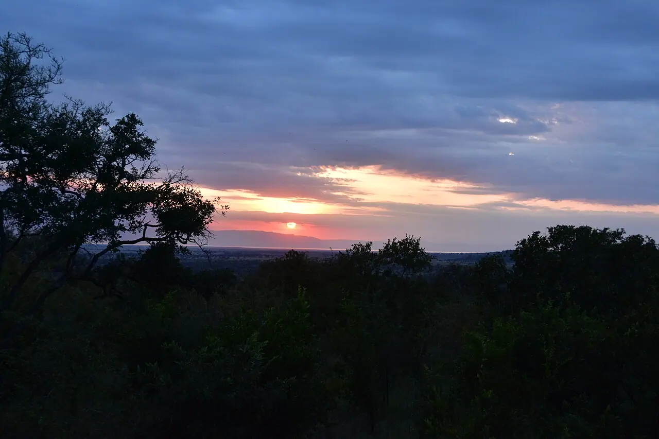 Dusk sky over the bush with the last light on the horizon