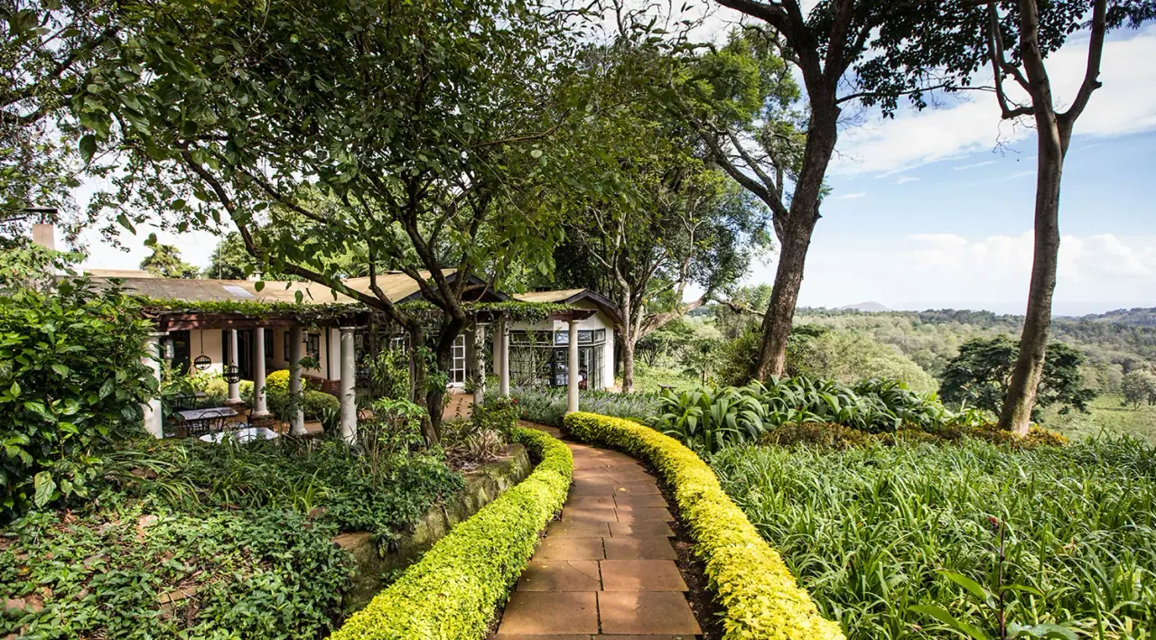 Colonnaded pergola walkway lined with yellow-flowering hedges at Gibb's Farm, Karatu