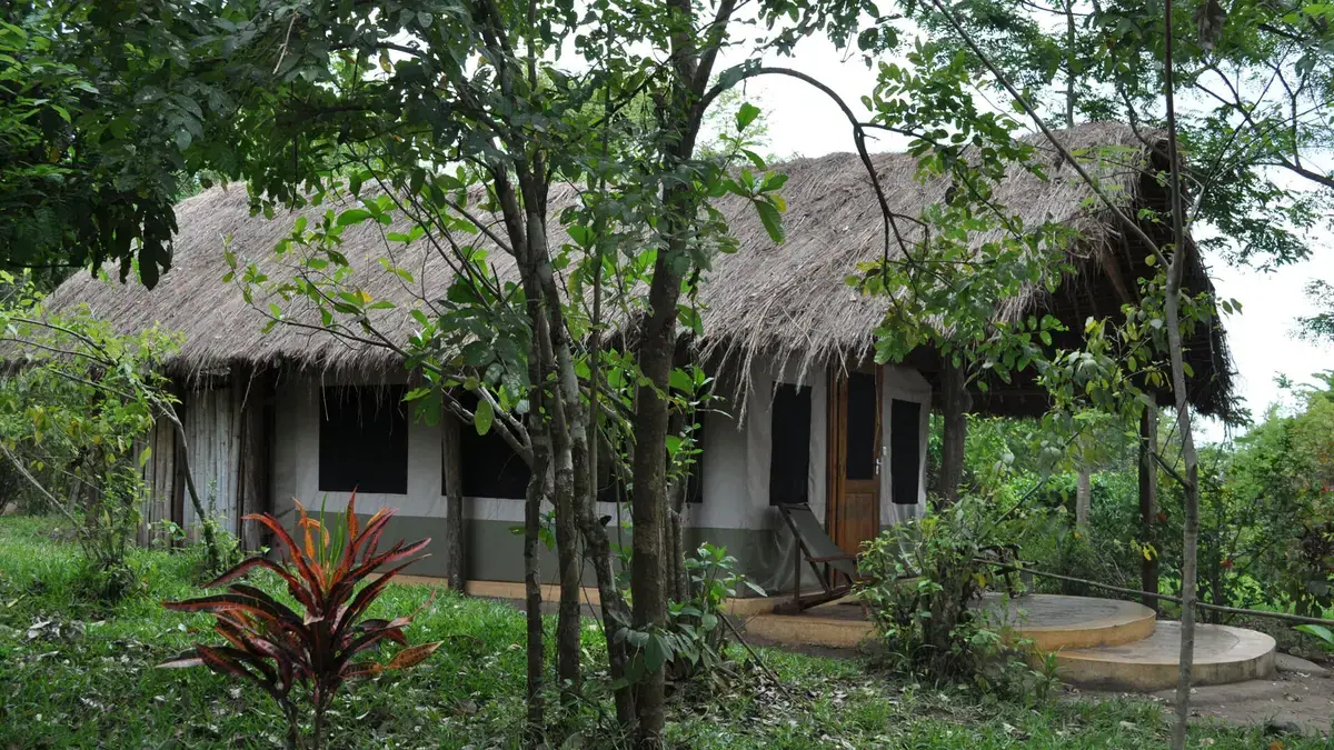 Thatched cottage at Hondo Hondo Udzungwa Forest Camp tucked among dense forest trees