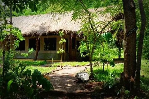 Gravel path leading to a thatched guest cottage at Hondo Hondo Udzungwa Forest Camp through dappled forest light
