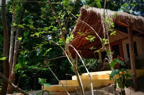 Close-up of a thatched roof and raised stone steps at a Hondo Hondo Udzungwa Forest Camp cottage