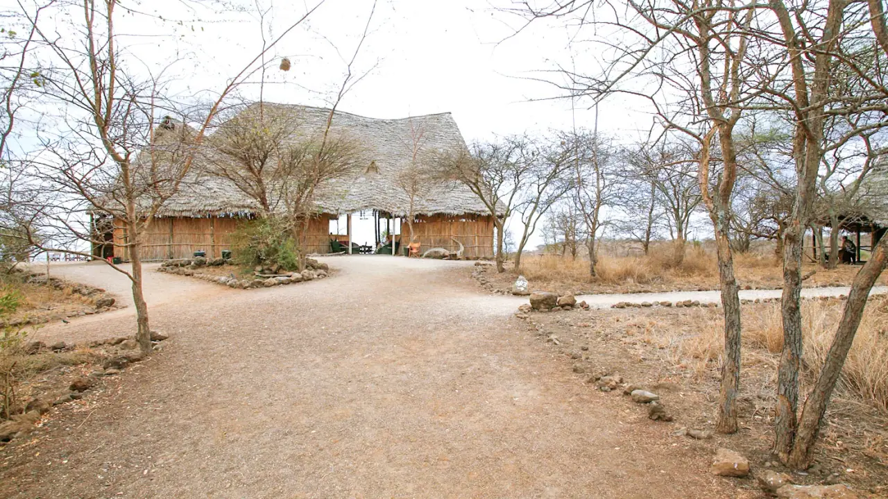 Thatched main lodge building at Kambi ya Tembo approached along a dirt path through acacia scrub