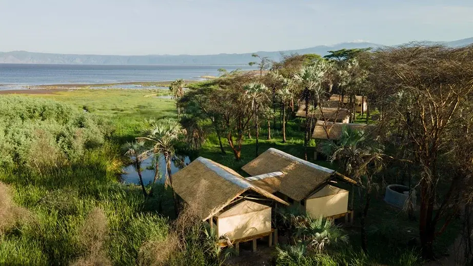 Aerial view of thatched guest tents nestled among palms on the shore of Lake Eyasi at Kisima Ngeda Tented Camp