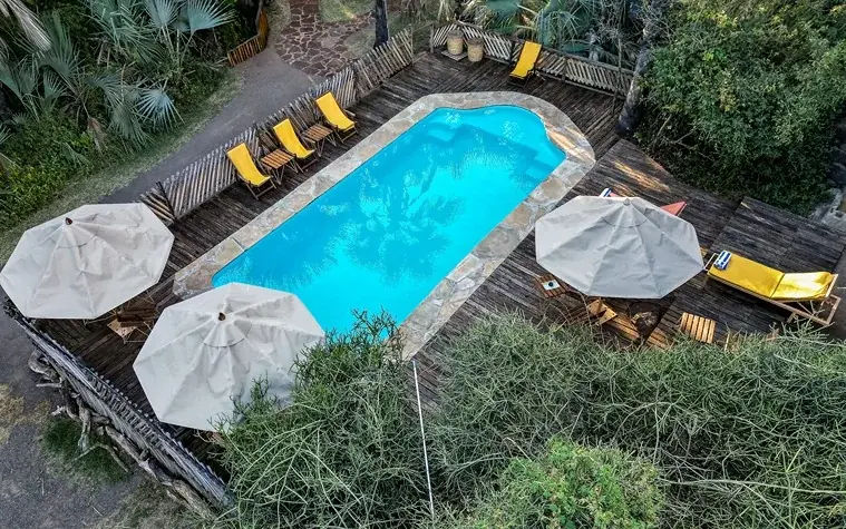Aerial view of the swimming pool surrounded by palm trees and yellow loungers at Kisima Ngeda Tented Camp