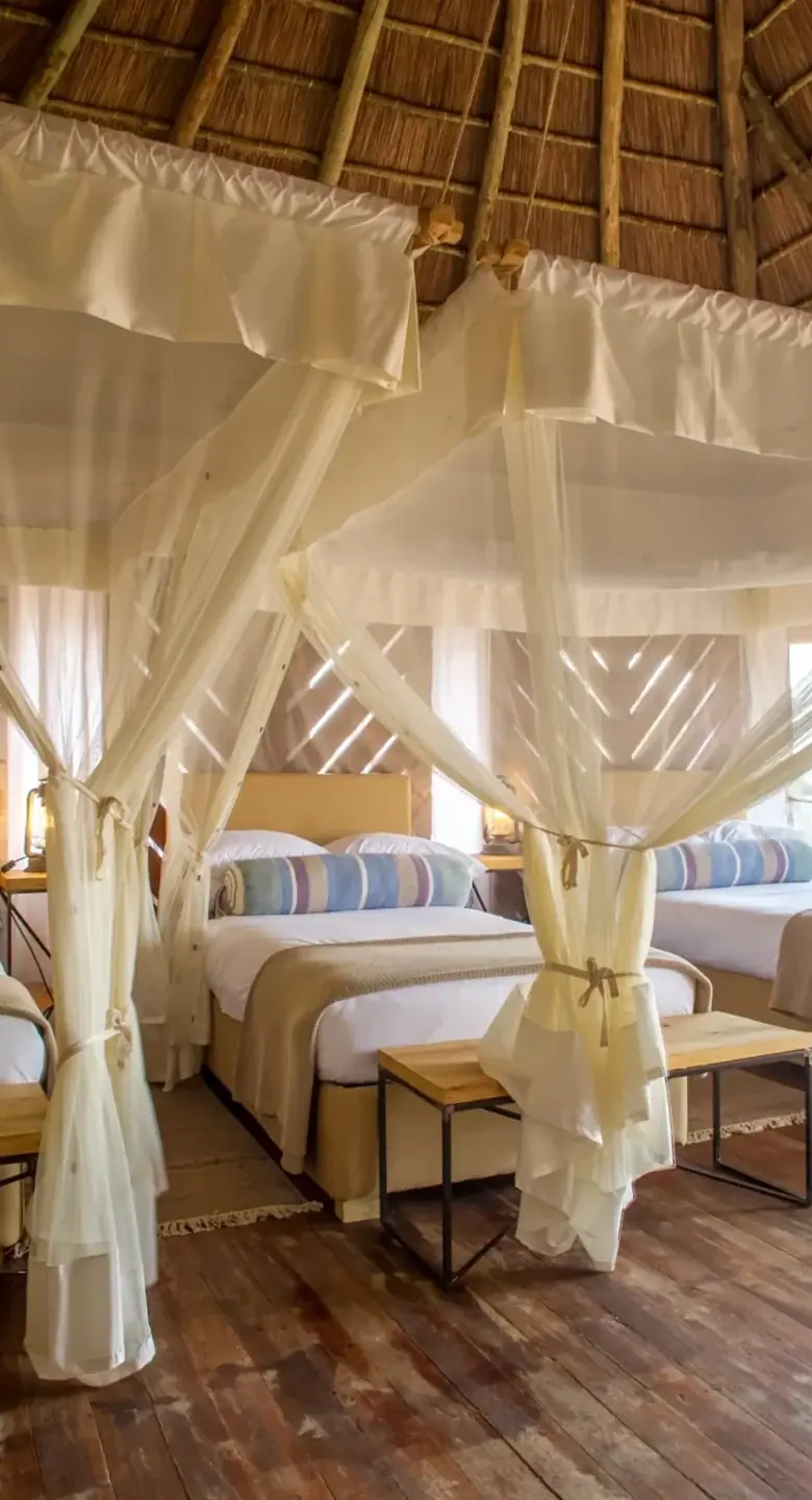 Twin-bed tent interior with mosquito-net canopies at Kubukubu Tented Lodge