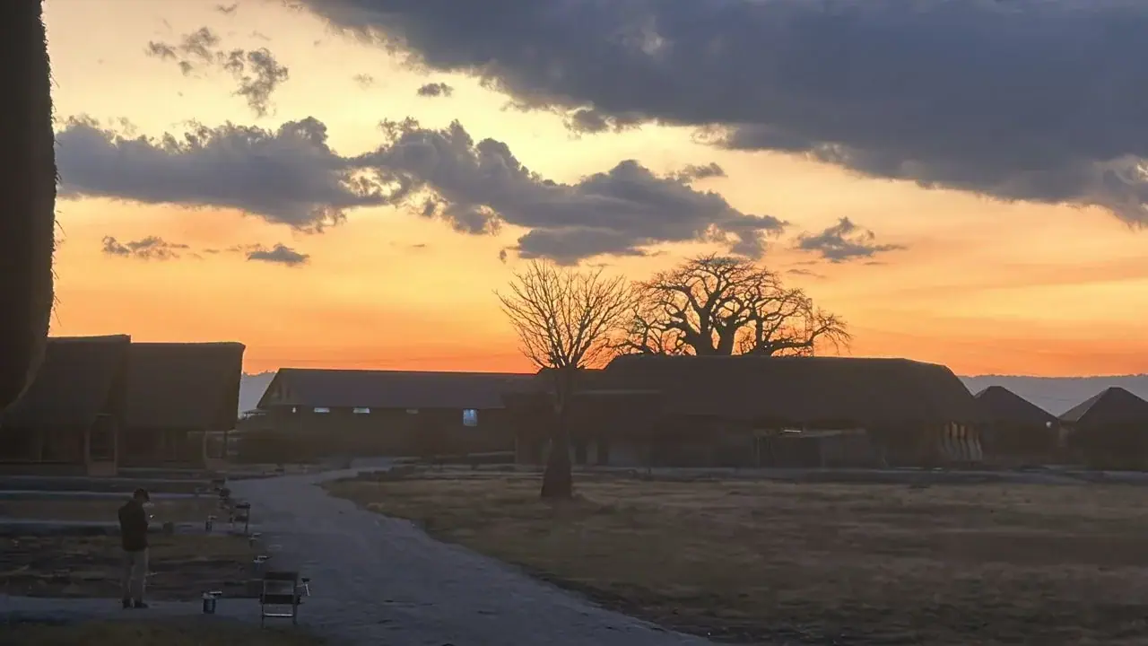 Silhouette of a baobab tree against an orange sunset sky above the lodge buildings at Lake Burunge Baobab Tented Lodge