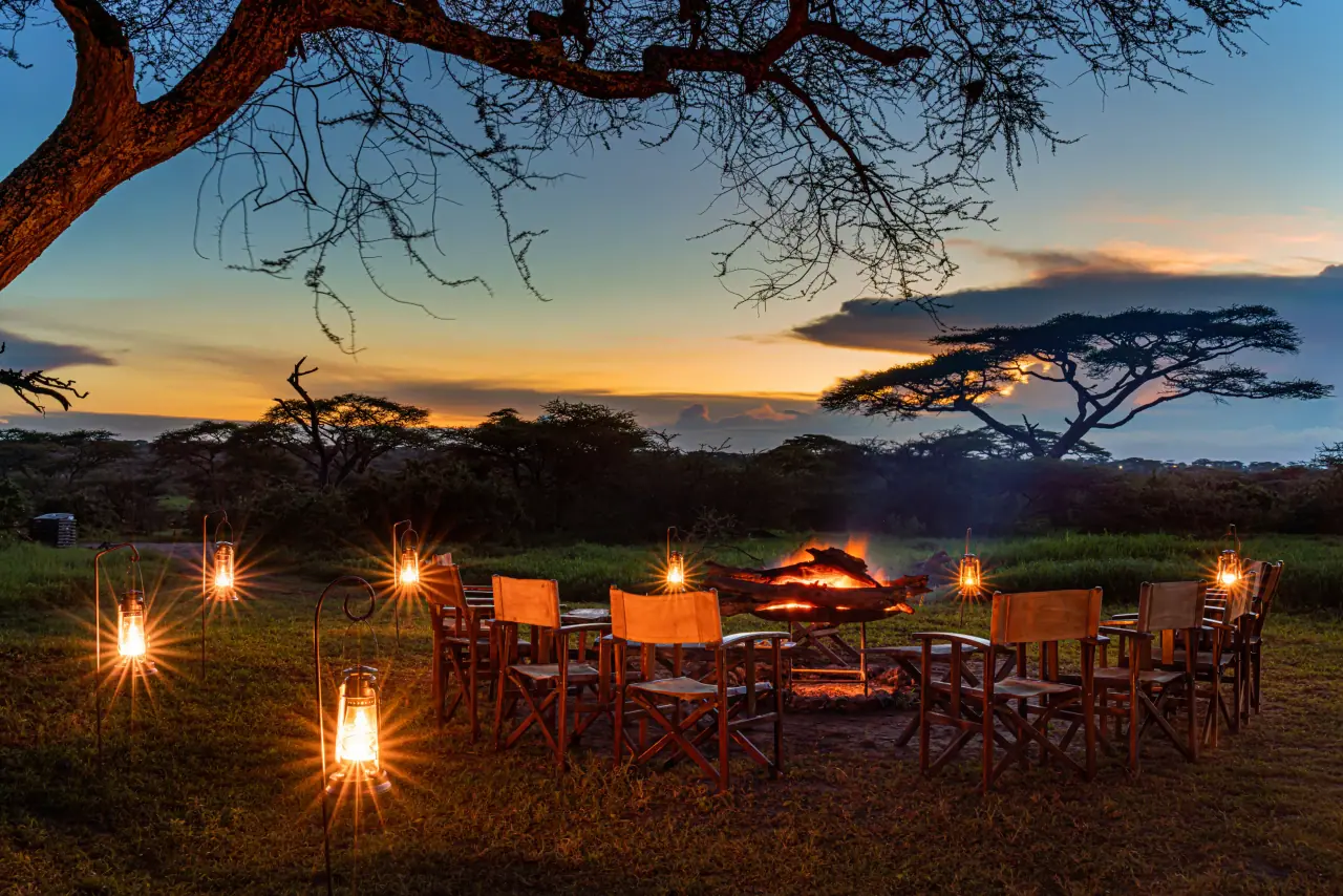 Dinner tables and lanterns set out under an acacia at dusk
