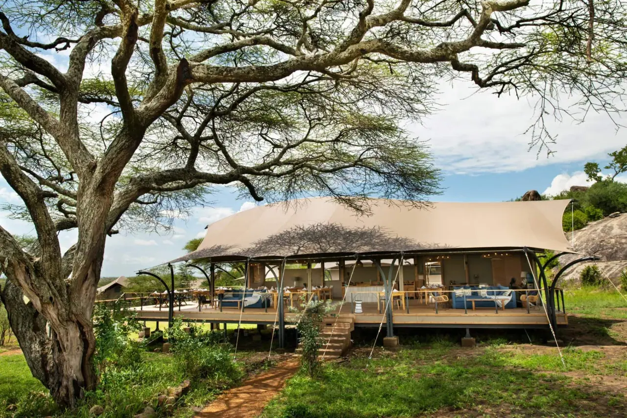 Tented camp exterior at Lemala Nanyukie framed beneath a large acacia tree