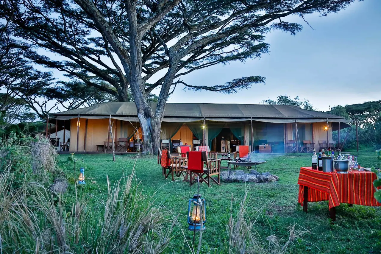 The mess area and campfire seating on the lawn beneath a spreading acacia