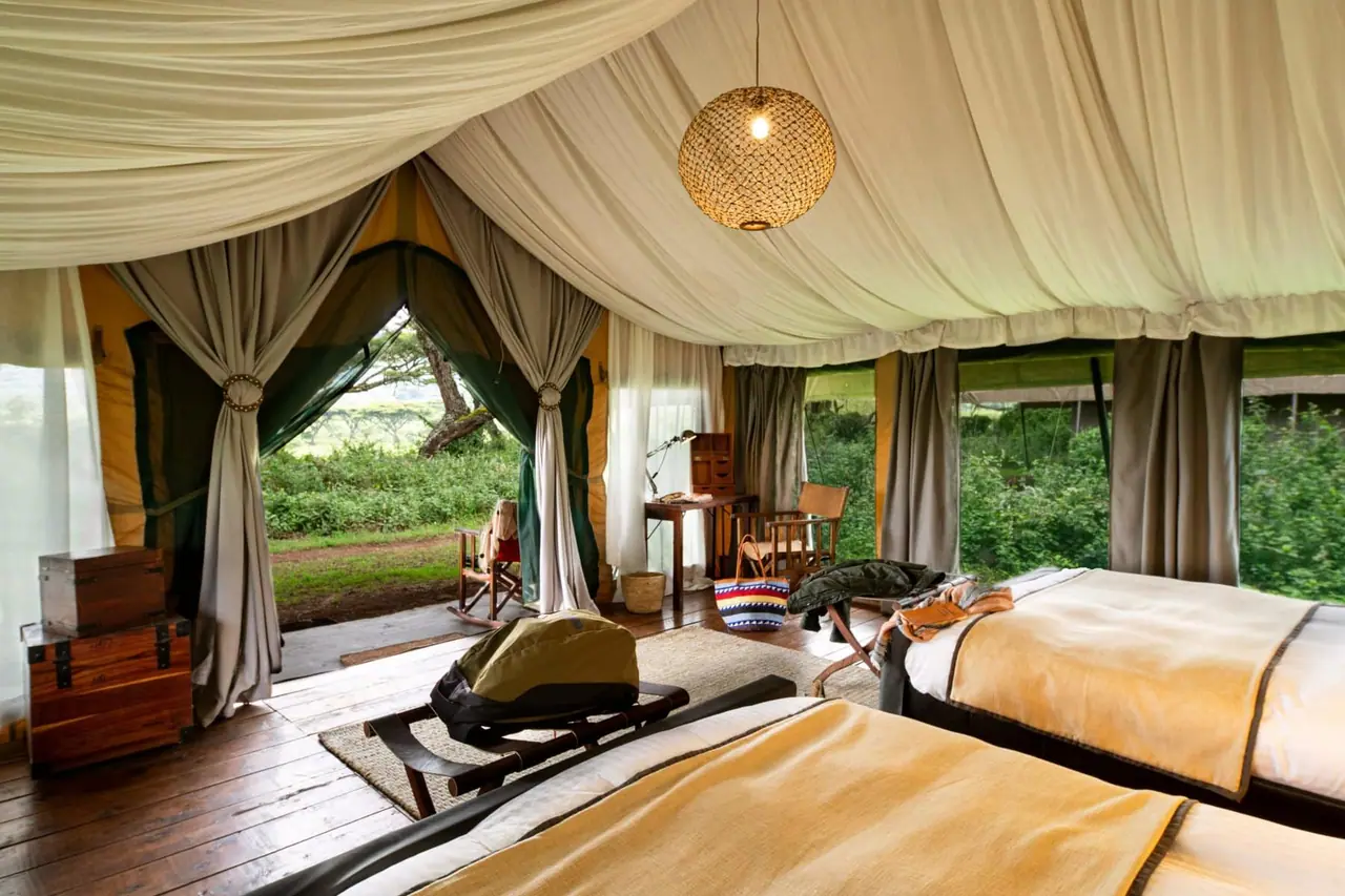 Inside a guest tent: twin beds, a draped canopy and a view onto the forest