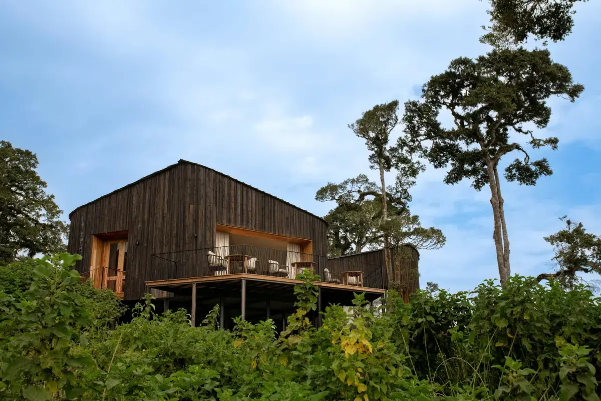 Dark timber-clad guest villa rising among forest trees at Lemala Osonjoi near the Ngorongoro crater rim