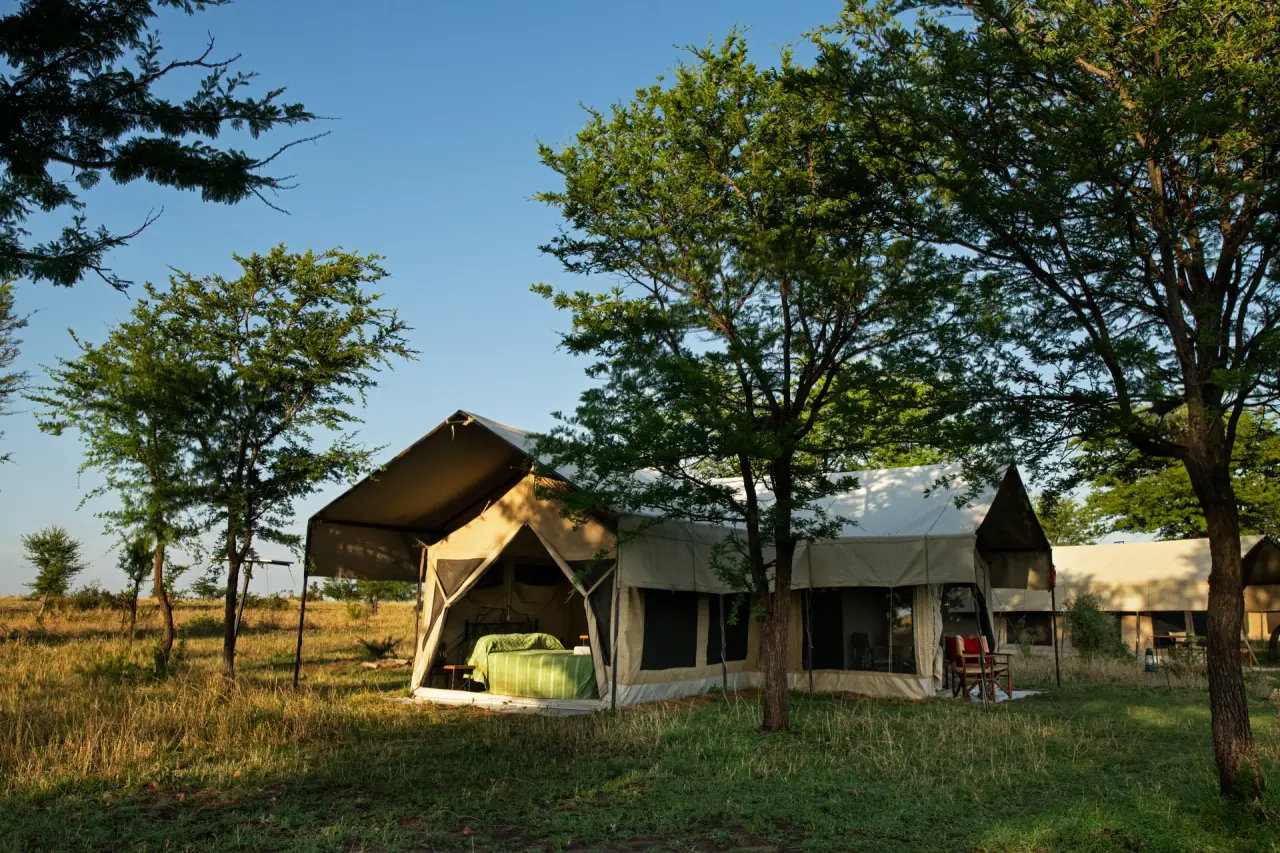 Guest tent at Mara Katikati Tented Camp shaded by acacia trees with a green-bedded twin room visible inside