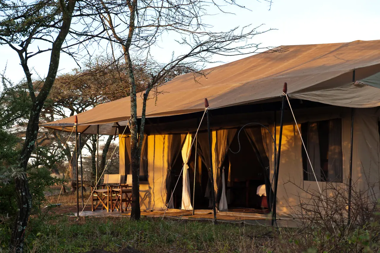 Guest tent at Mara Under Canvas glowing at golden hour among acacia trees in the northern Serengeti