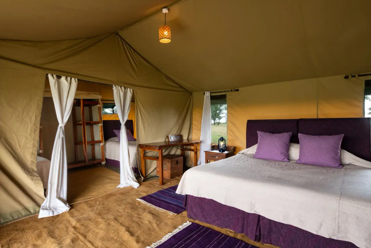 King bed suite at Mara Under Canvas with purple accent pillows and canvas walls