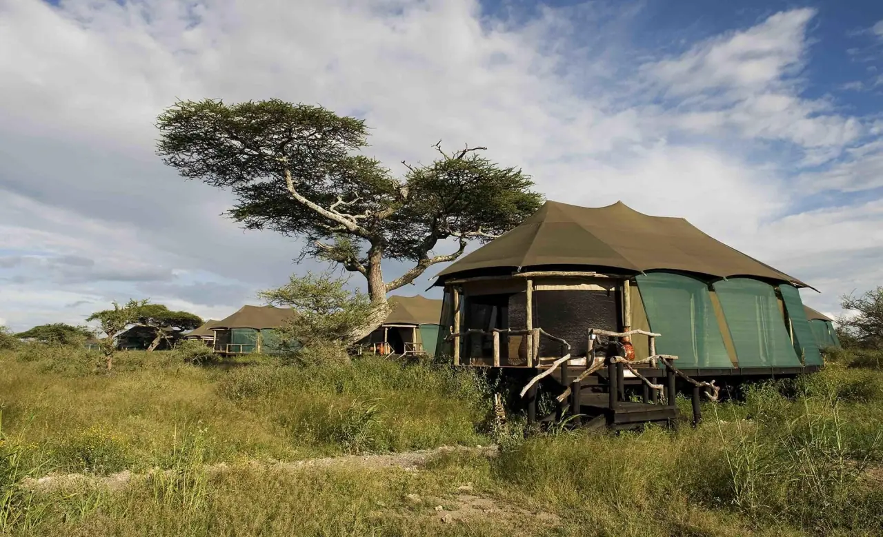 Guest tent at Masek Tented Lodge raised on a wooden platform beneath an acacia tree