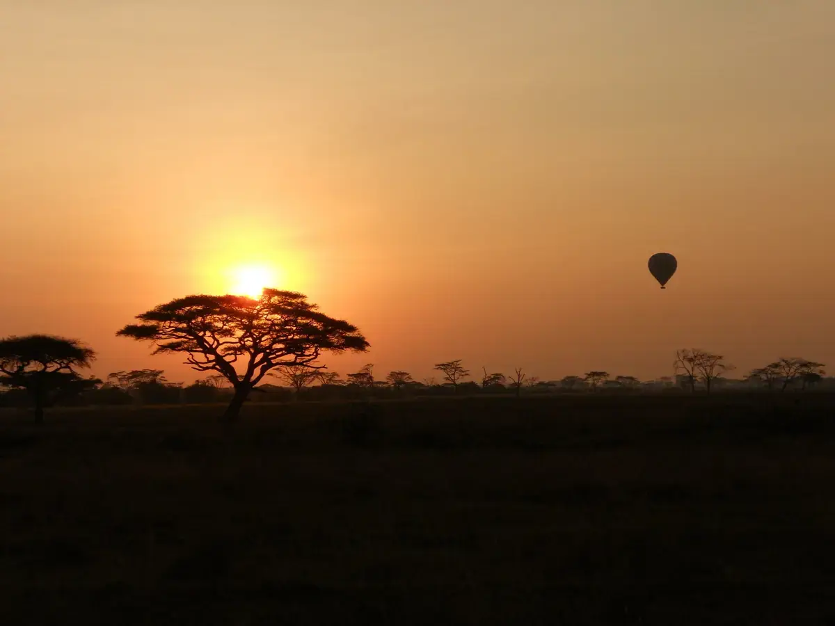 Hot air balloon drifting past a silhouetted acacia tree at sunrise near Ndutu Kati Kati Tented Camp