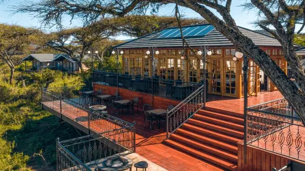 Aerial view of the timber deck and bar at Ngorongoro Lion's Paw surrounded by acacia trees