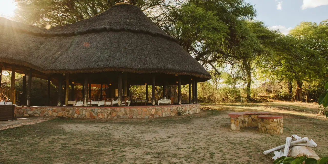 Thatched open-air dining pavilion lit by evening sun beneath acacia trees at Ruaha River Lodge
