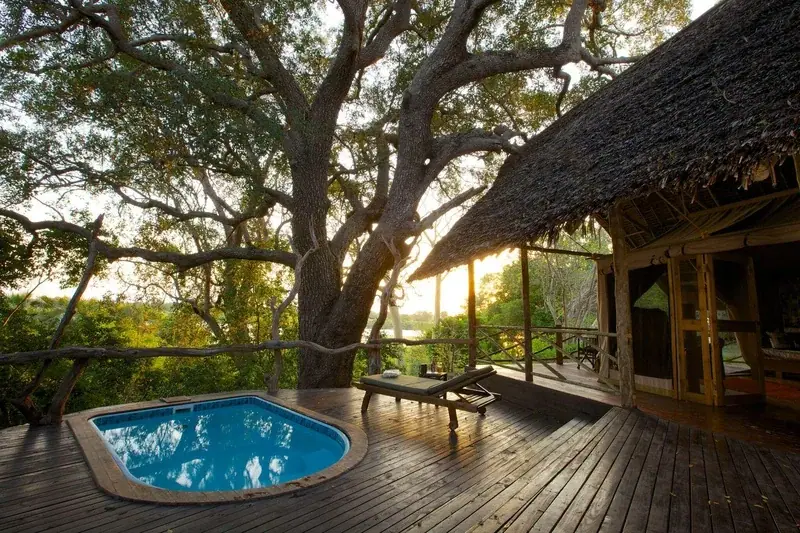 Private plunge pool shaded by a large tree overlooking the Rufiji River at sunset