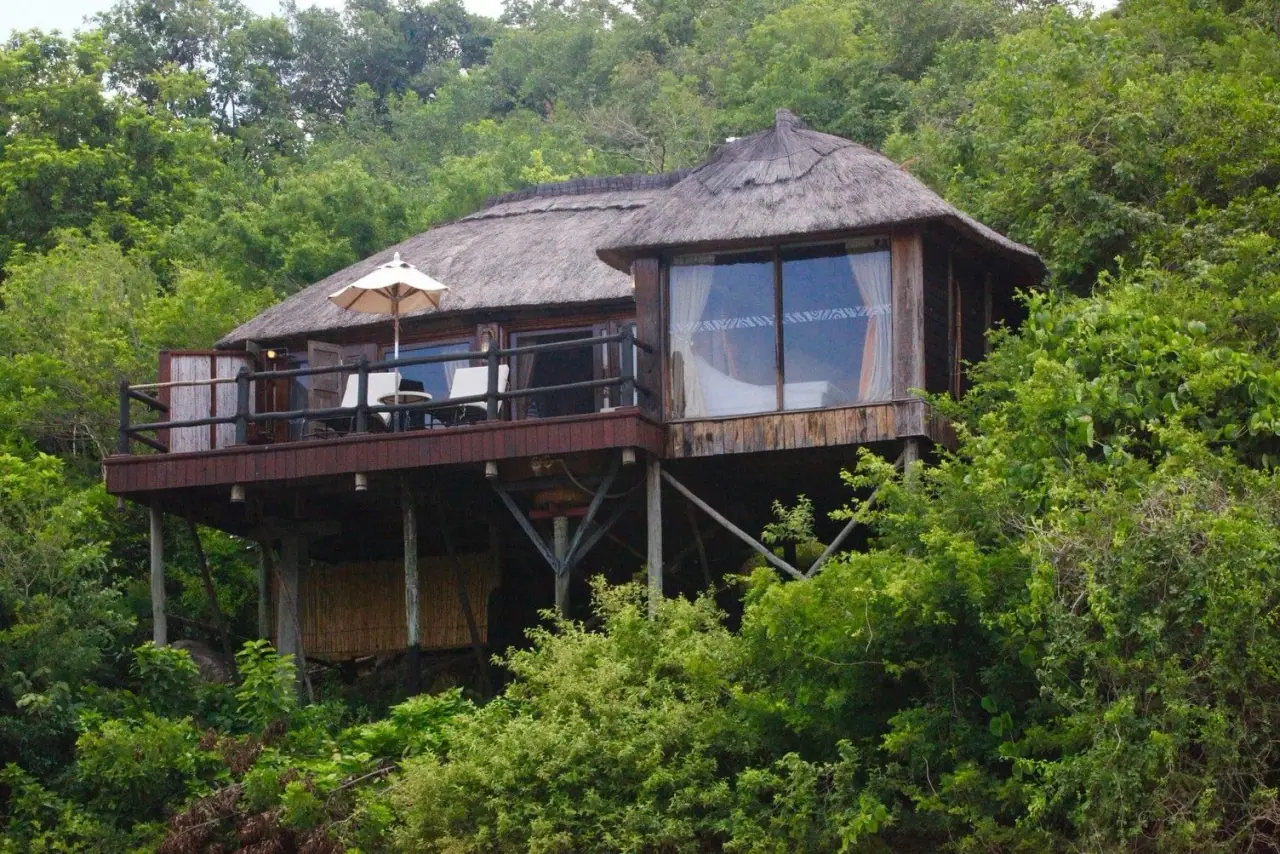 Stilted thatched-roof cottage rising above the forest canopy at Serena Mivumo River Lodge