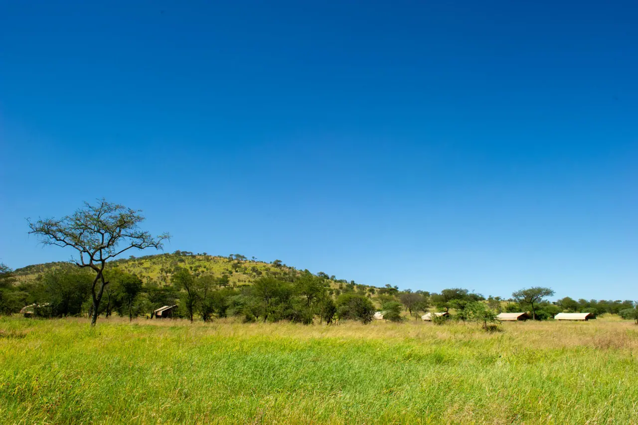 Wide view of the Serengeti's central plains and camp tents beneath a grassy hill