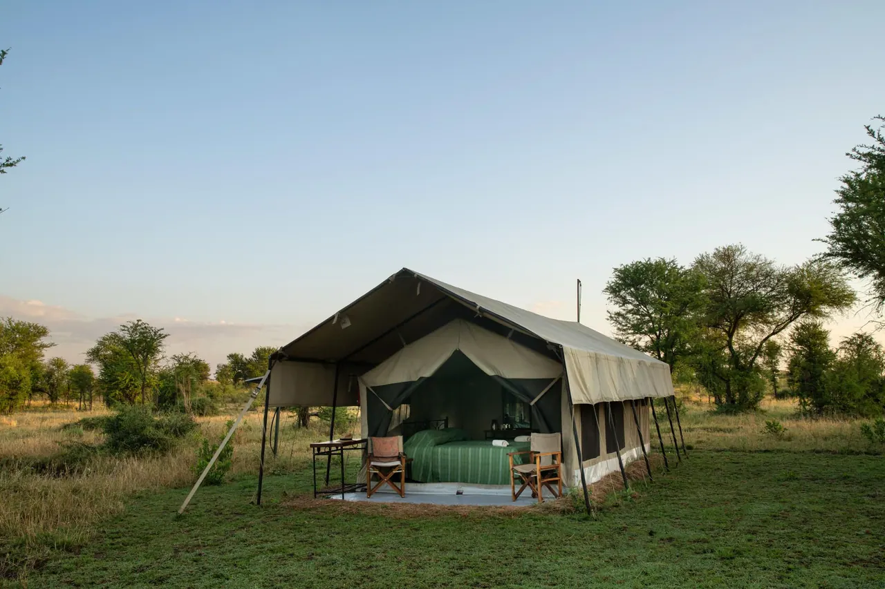A canvas guest tent with a veranda on the grass at Tarangire Katikati Tented Camp