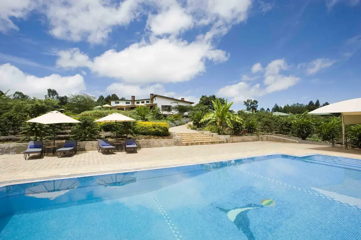 Swimming pool with loungers overlooking the garden lodge buildings at Tloma Lodge on a former coffee farm