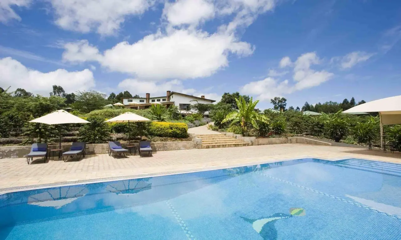 Wide view of the swimming pool, garden terraces and main lodge building at Tloma Lodge under a blue sky