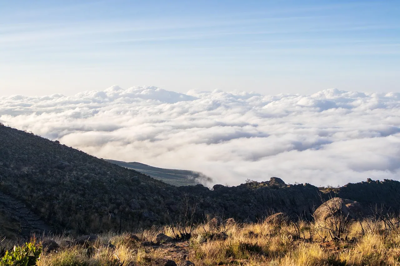 A layer of cloud lying below a grassy mountain slope