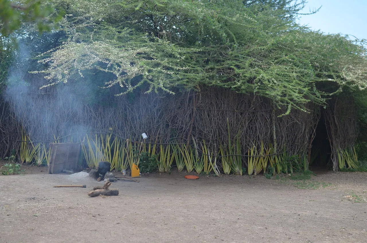 A thatched Datoga kitchen hut with smoke drifting from the doorway