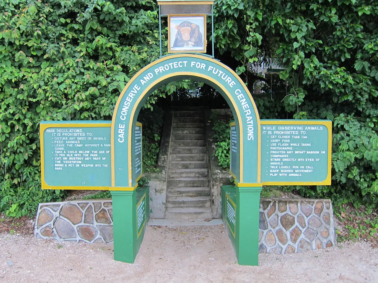 Stone steps leading under a green archway into the forest at the Gombe Stream National Park entrance