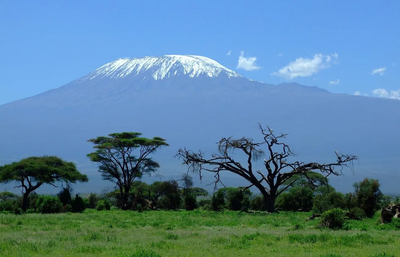 Snow-capped Kilimanjaro rising above green savanna and acacia trees