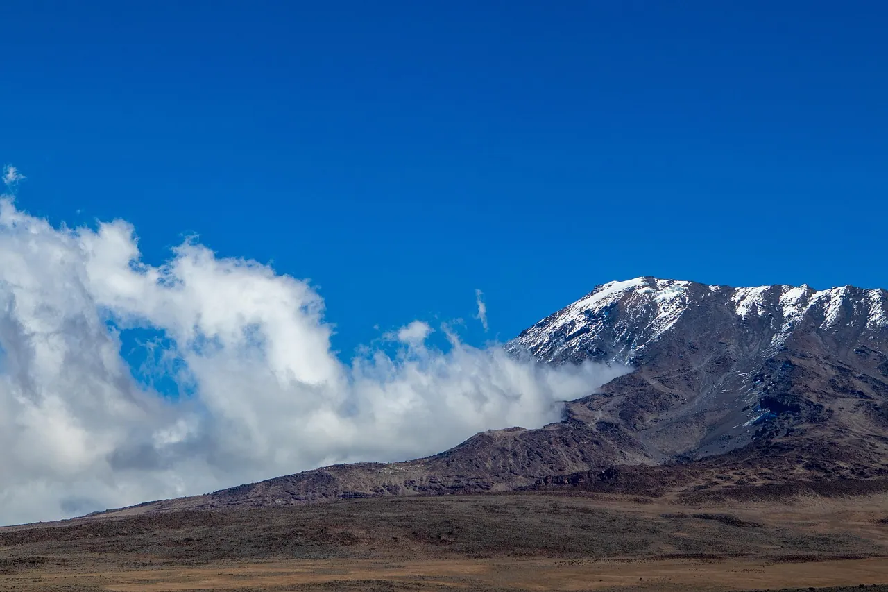 The snow-capped summit of Kilimanjaro rising above white cloud under a deep blue sky