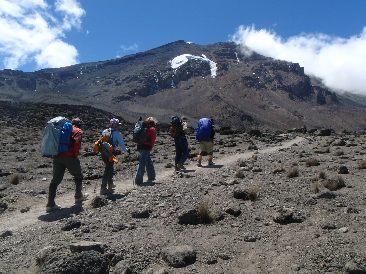 Trekkers and porters climbing toward the Lava Tower with the snowy summit behind