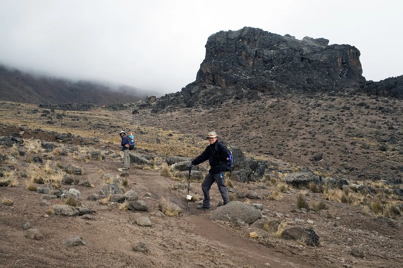 The Lava Tower rock formation rising on the Kilimanjaro trail