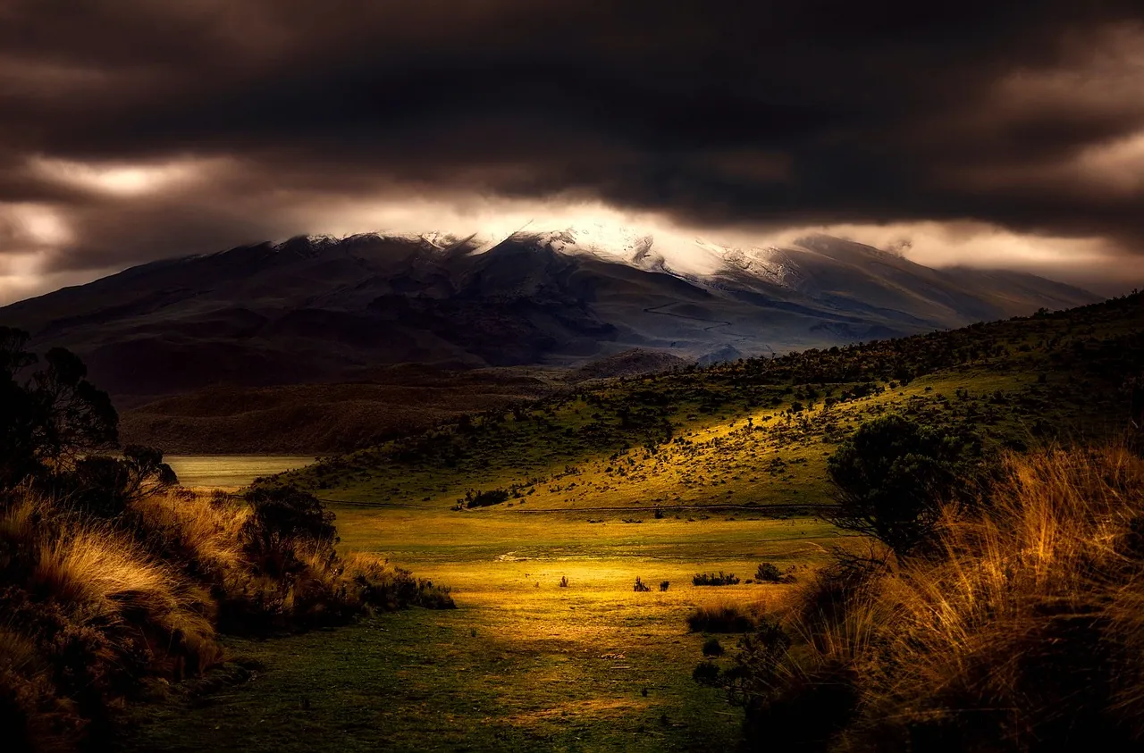 Open moorland under dramatic evening light