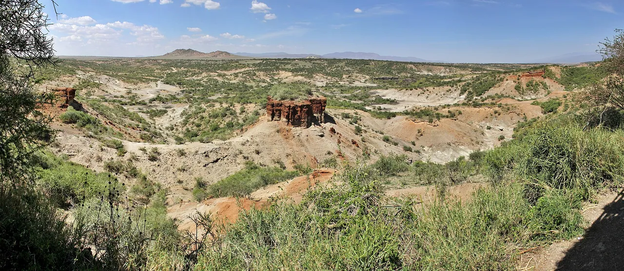 Olduvai Gorge, where its layered banks drop into the dry plain