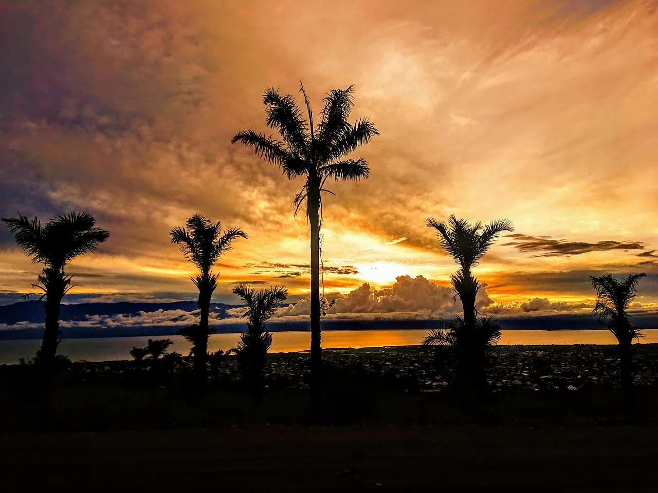 Palm trees silhouetted against an orange sunset over water