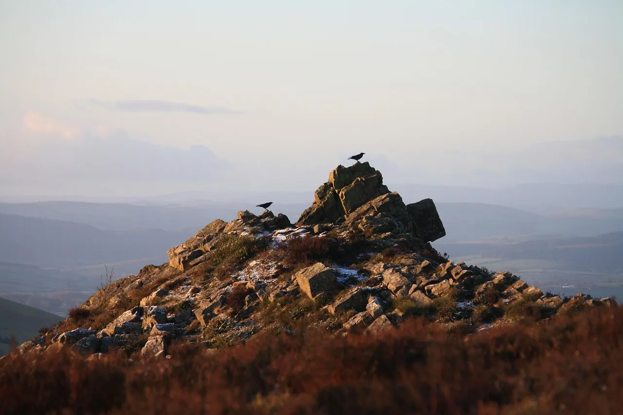 A rocky outcrop on open moorland at dusk
