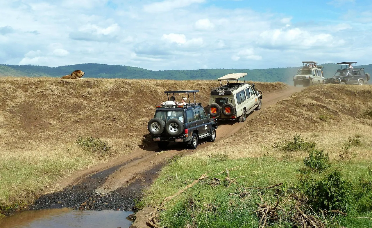 Safari vehicles on a muddy track with a lion resting on the bank and the crater wall beyond